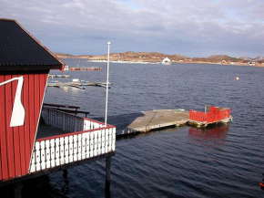 Havgløtt